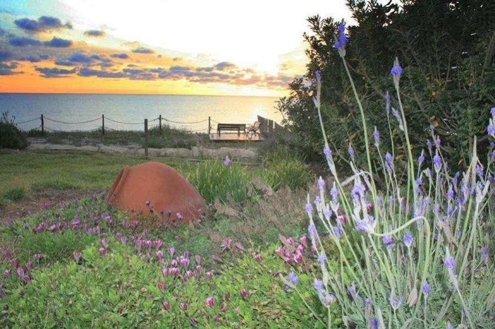 Blue Coral Beach Villas Paphos Eksteriør bilde